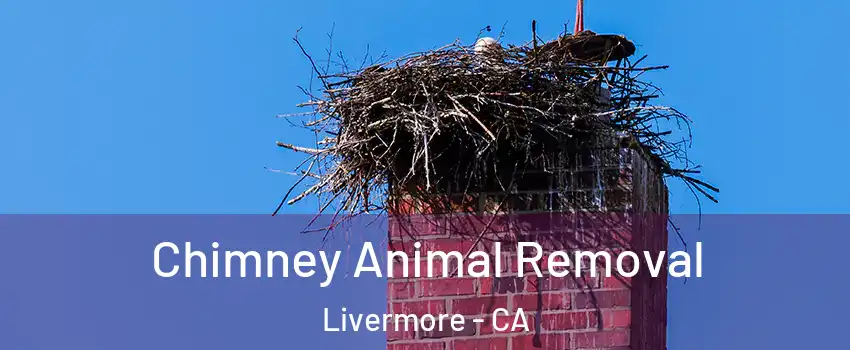  Chimney Animal Removal Livermore - CA