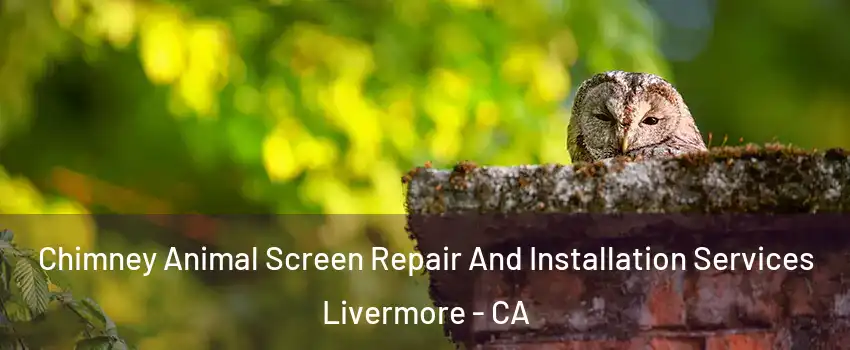  Chimney Animal Screen Repair And Installation Services Livermore - CA