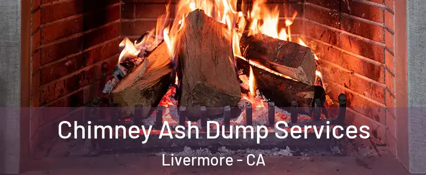  Chimney Ash Dump Services Livermore - CA