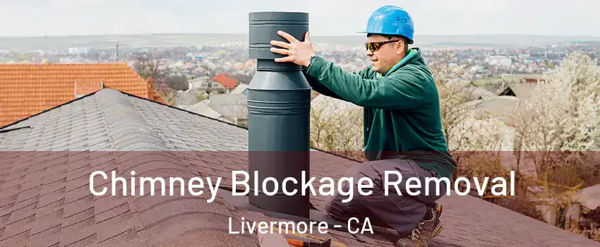  Chimney Blockage Removal Livermore - CA