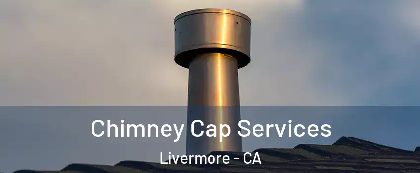  Chimney Cap Services Livermore - CA