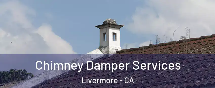  Chimney Damper Services Livermore - CA
