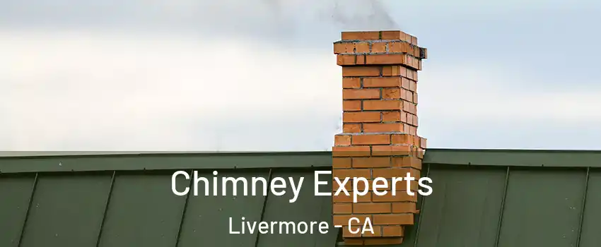  Chimney Experts Livermore - CA
