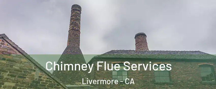  Chimney Flue Services Livermore - CA