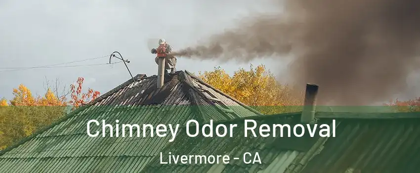  Chimney Odor Removal Livermore - CA