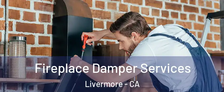  Fireplace Damper Services Livermore - CA