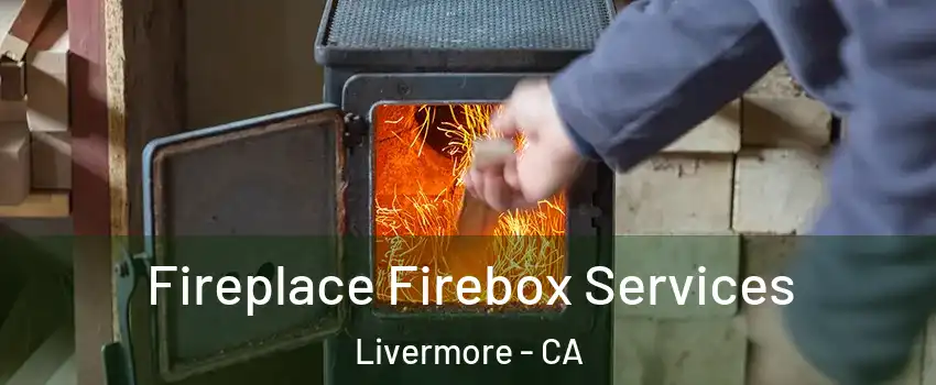  Fireplace Firebox Services Livermore - CA