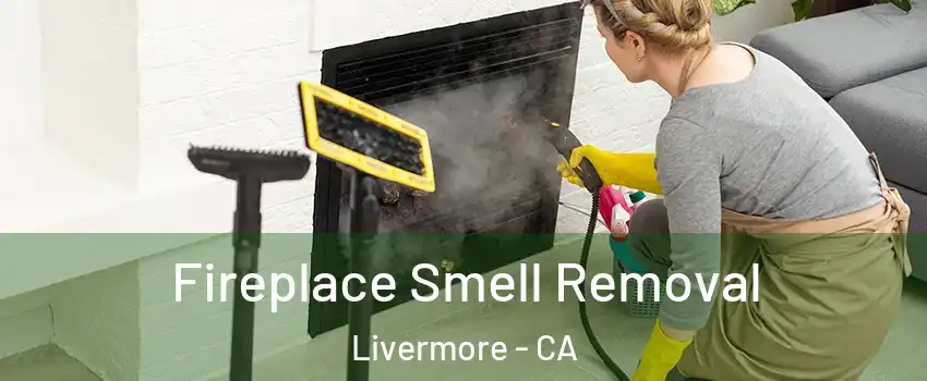  Fireplace Smell Removal Livermore - CA
