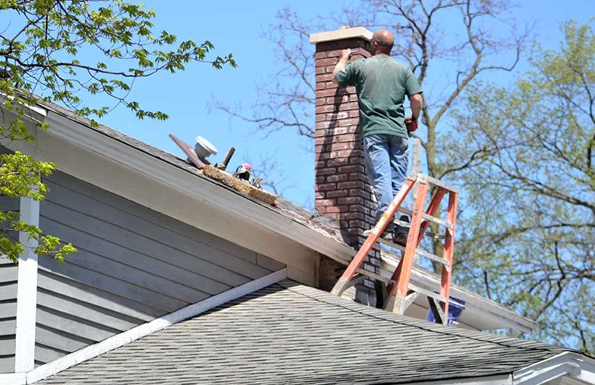 Chimney & Fireplace Inspections Services in Livermore, CA
