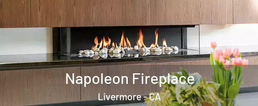  Napoleon Fireplace Livermore - CA